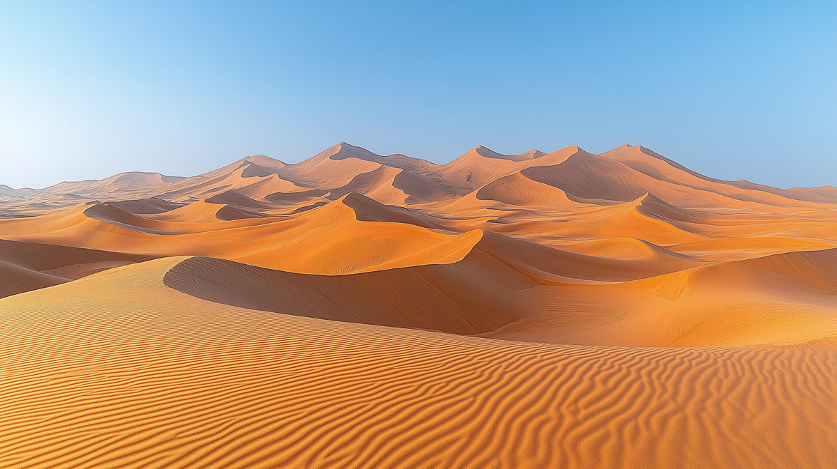 Desert Serenity Mural Wallpaper | Peaceful Expanse Decoration