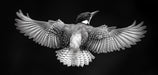 Black - and - White Bird Living Room Mural Wallpaper | Bold Modern Decoration