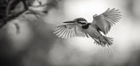 Monochrome Bird Caf¨¦ Mural Wallpaper | Chic Minimalist Decoration