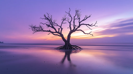 Purple Sunset Tree Living Room Mural Wallpaper | Tranquil Dramatic Decoration