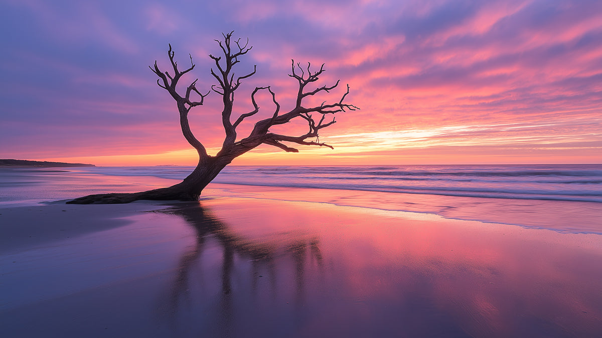 Purple Sunset Tree Living Room Mural Wallpaper | Tranquil Dramatic Decoration