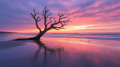 Purple Sunset Tree Living Room Mural Wallpaper | Tranquil Dramatic Decoration
