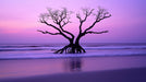 Purple Sunset Tree Dining Mural Wallpaper | Elegant Ambiance Decoration