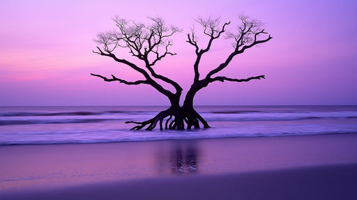 Purple Sunset Tree Dining Mural Wallpaper | Elegant Ambiance Decoration
