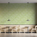 Green Vine - Fresh Wallpaper for Cafes or Breakfast Nooks