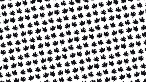 Black Maple Leaf Pattern- Graphic Wallpaper for Home Offices or Studios