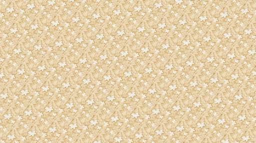 Soft Gradient Floral - Tranquil Wallpaper for Bathrooms