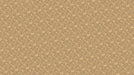 Soft Gradient Floral - Tranquil Wallpaper for Bathrooms