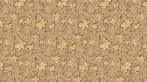 Soft Gradient Floral - Tranquil Wallpaper for Bathrooms