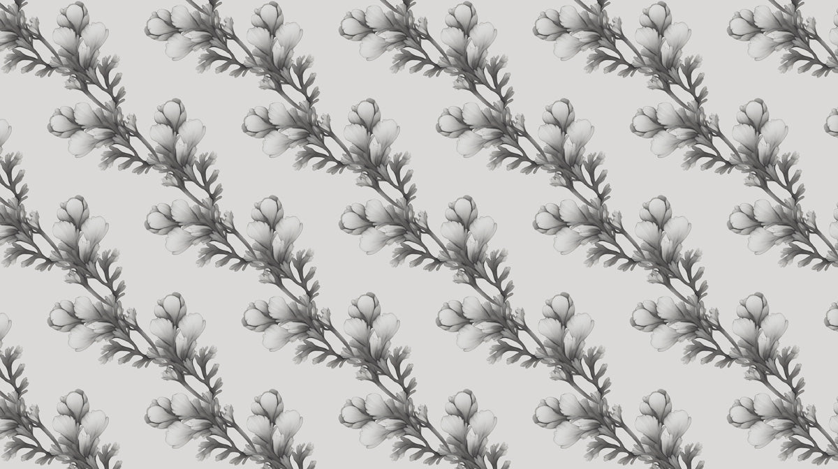Light Blue Delicate - Botanical Wallpaper for Dining Rooms or Bedrooms