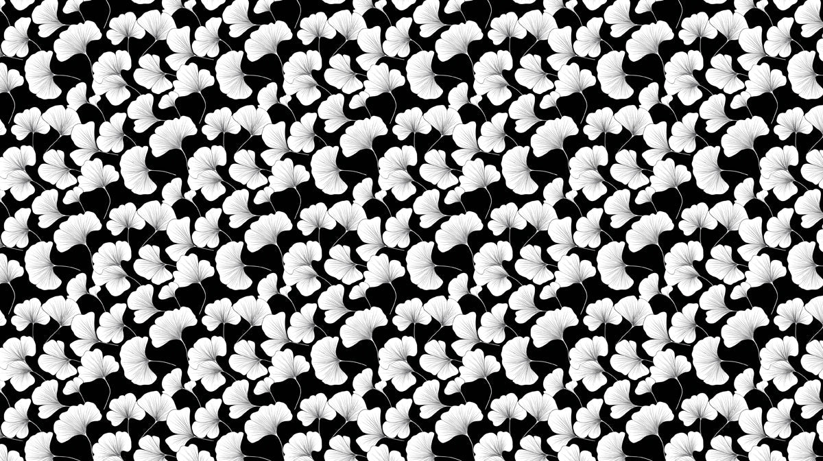 Monochrome Ginkgo Leaves Wallpaper ¨C Black and White Botanical Elegance