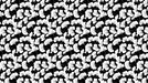 Monochrome Ginkgo Leaves Wallpaper ¨C Black and White Botanical Elegance