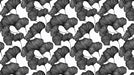 Charcoal Sketch Ginkgo Wallpaper ¨C Hand-Drawn Botanical Mural in Black on Grey