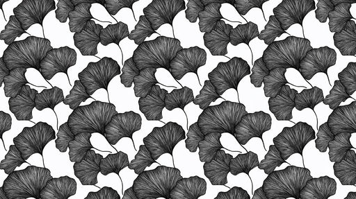 Charcoal Sketch Ginkgo Wallpaper ¨C Hand-Drawn Botanical Mural in Black on Grey