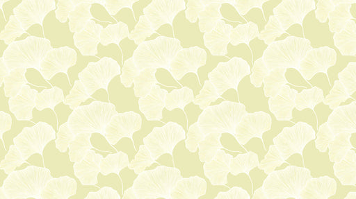 Soft Ginkgo Glow Wallpaper ¨C Light Yellow Botanical Mural with Natural Elegance