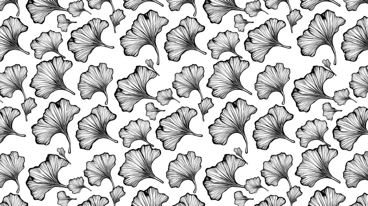 Elegant Arched Ginkgo Wallpaper ¨C Artistic Botanical Mural in Black & White