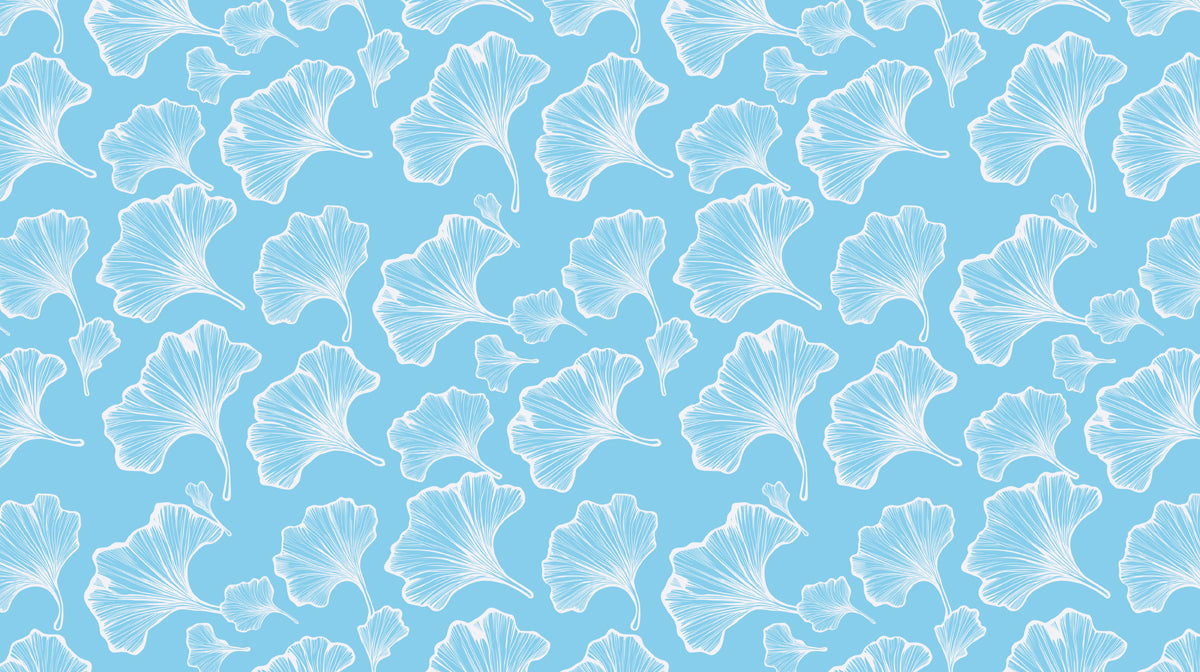 Sky Breeze Ginkgo Wallpaper ¨C Light Blue Botanical Mural for Fresh Interiors