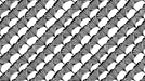 Bold Harmony Ginkgo Wallpaper ¨C Black and White Botanical Pattern for Bathrooms