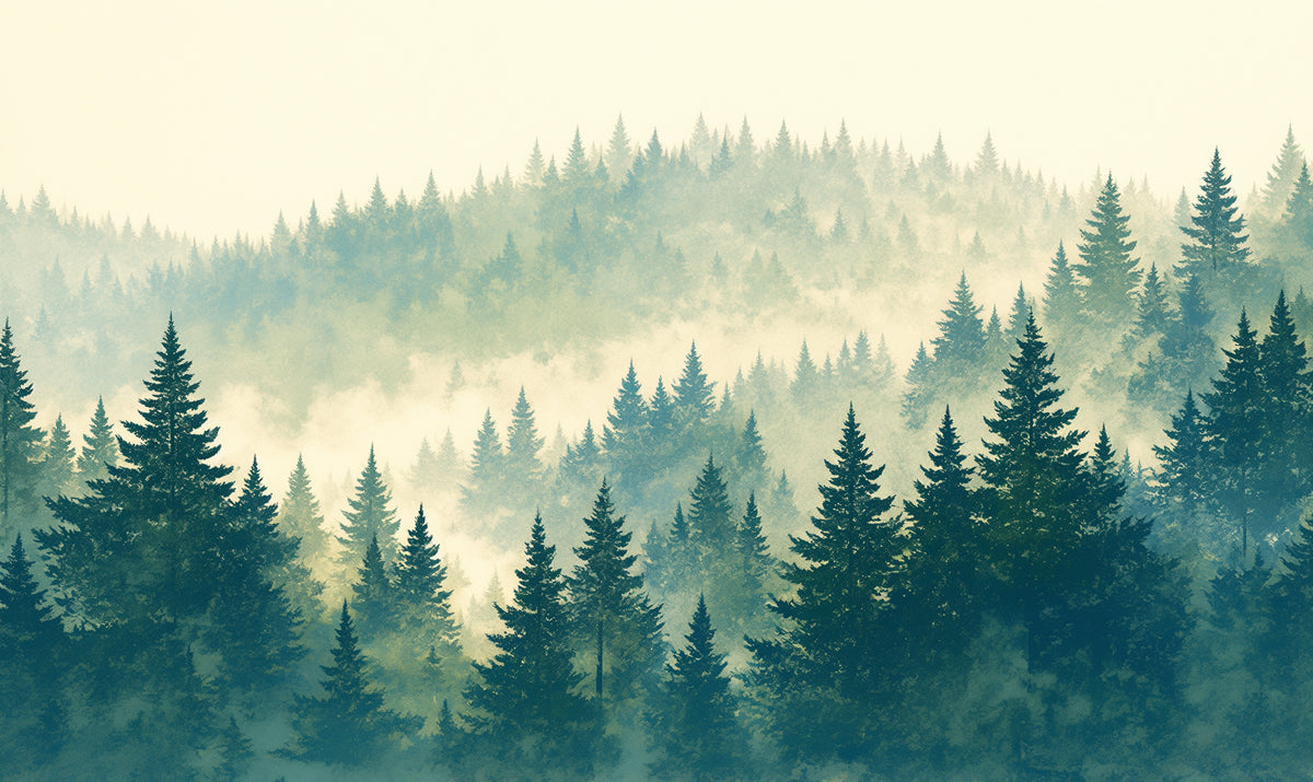 Misty Forest Mural Wallpaper | Green Blue and Beige Forest