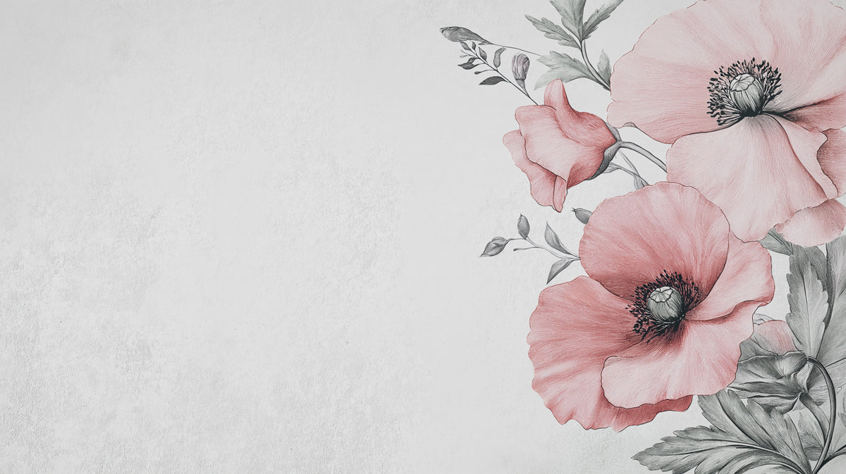 Pink Peony Flower Wallpaper | Minimal Floral Mural with Sketch Style