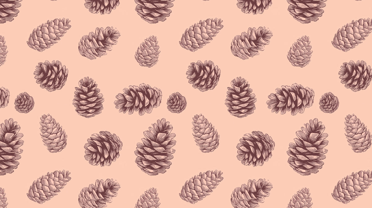 Soft Etching Pinecone Wallpaper | Hand-Sketched Brown Cones on Peach