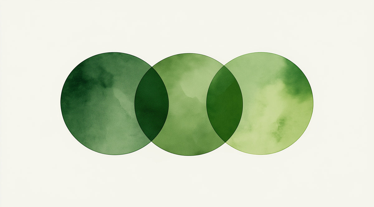 Abstract Intersecting Circles Mural Wallpaper | Green Tones Geometric Art