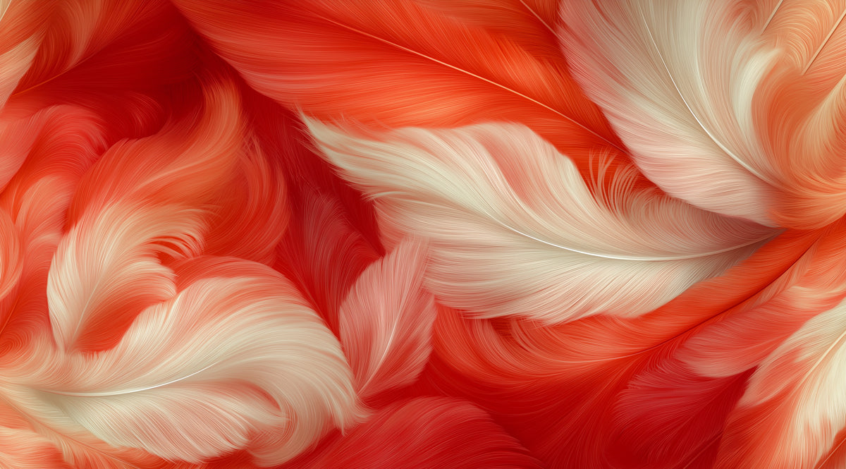 Abstract Orange & White Feather Mural Wallpaper | Dynamic Flowing Art