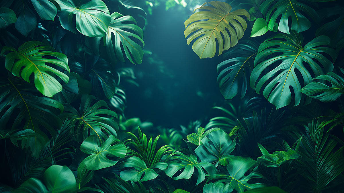 Lush Tropical Jungle with Monstera Leaves Mural Wallpaper | Serene Nature Scene