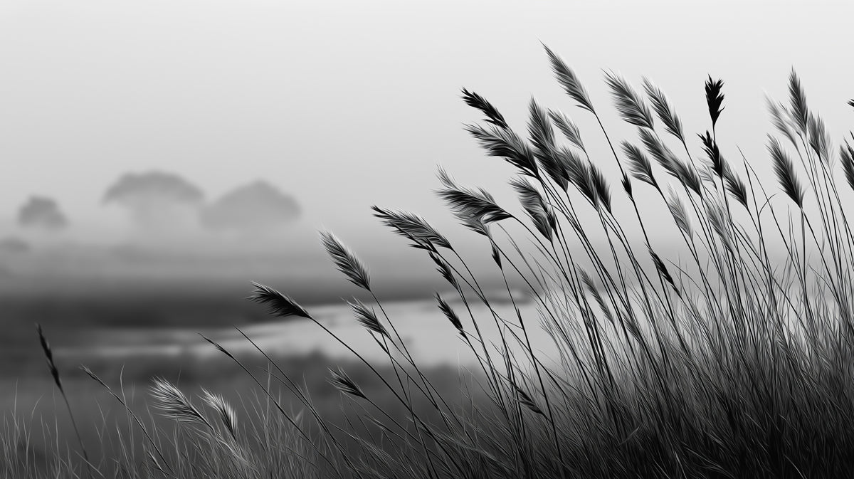 Moody Reed Landscape Wallpaper | Atmospheric Monochrome Nature Scene