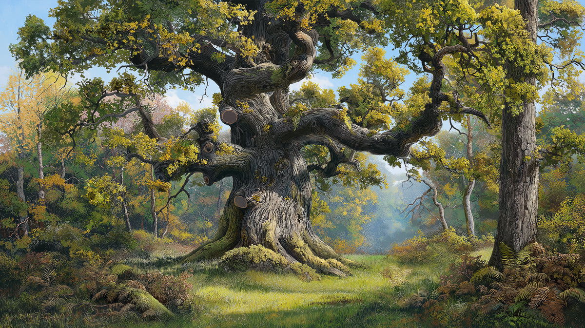 Ancient Green Oak Tree Wallpaper | Majestic Forest Landscape