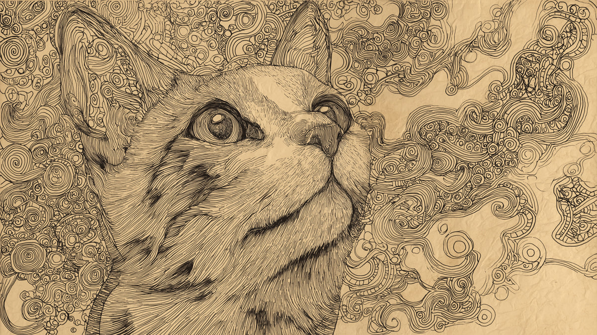 Intricate Cat Line Art Mural Wallpaper | Detailed Feline Sketch with Swirling Patterns