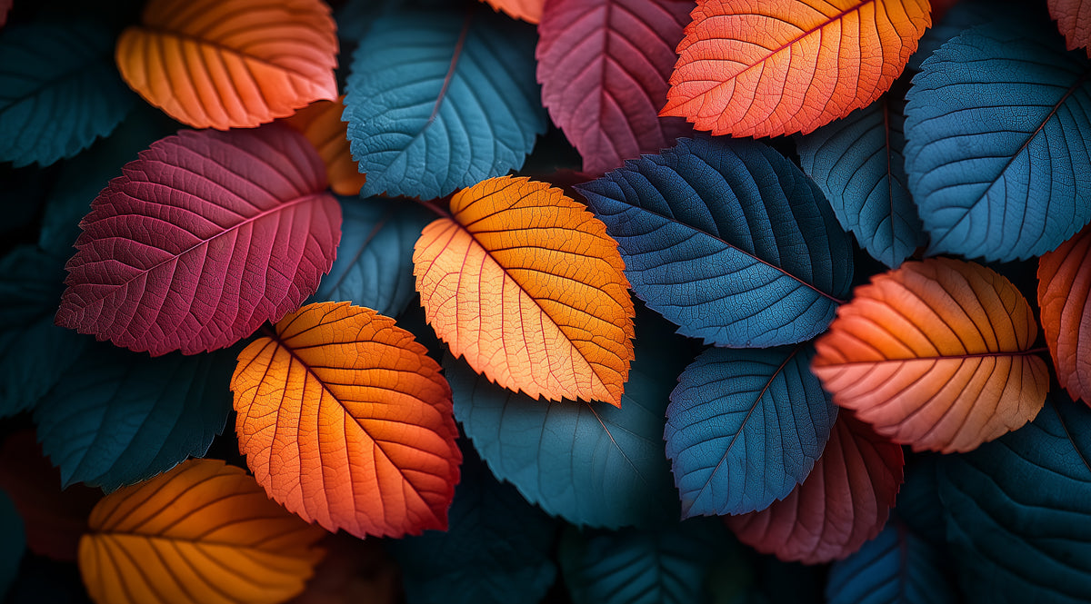 Bunte Blatt-Wandtapete im Schlafzimmer | Verschiedene Farben (Orange, Blau, Lila, etc.) Blätter 