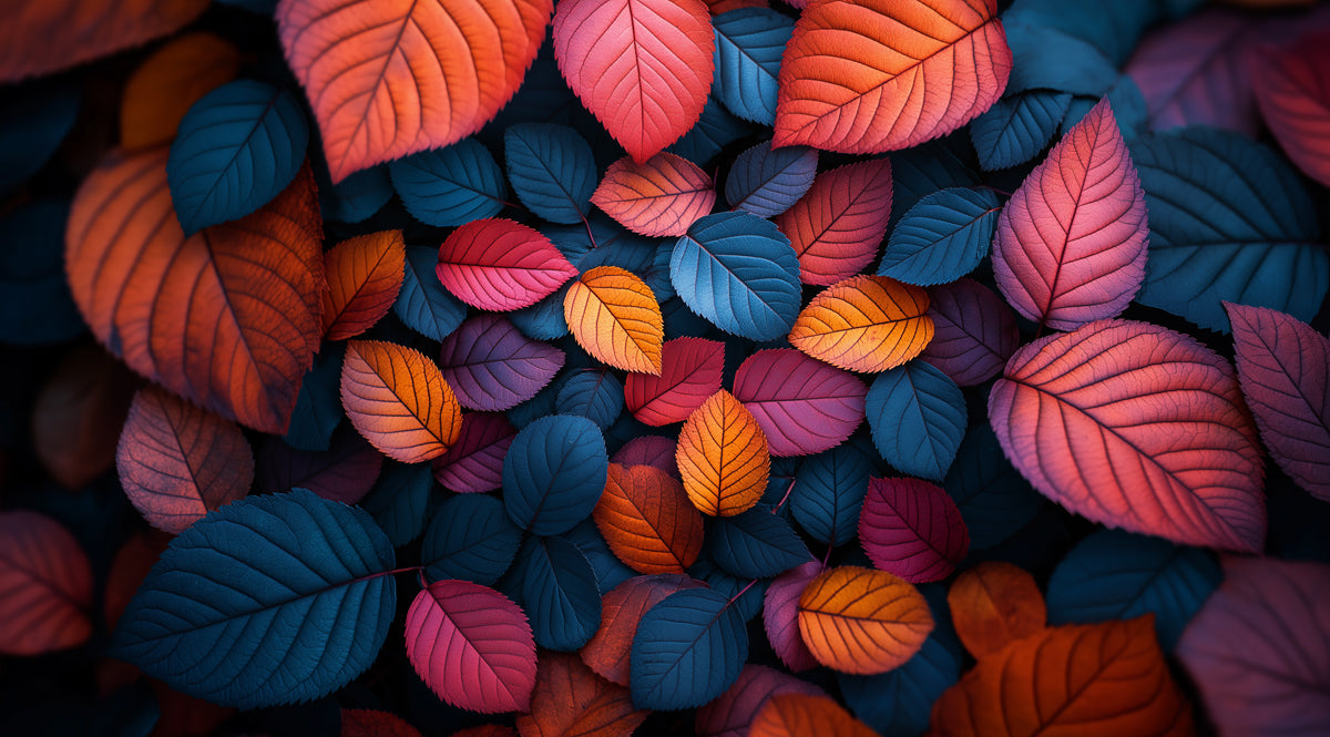 Bunte Blatt-Wandtapete im Schlafzimmer | Verschiedene Farben (Orange, Blau, Lila, etc.) Blätter -3 