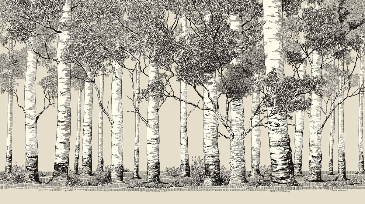 Hand-Drawn Aspen Forest Mural Wallpaper | Monochrome Woodland Scene