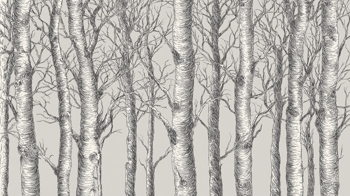 Monochrome Birch Forest Mural Wallpaper | Classic Hand-Drawn Woodland Art