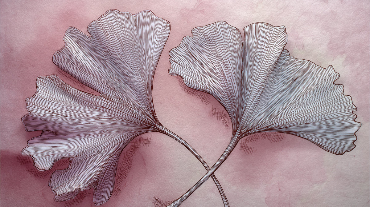 Murale di carta da parati con arte astratta di foglie di Ginkgo | Schizzo botanico minimalista rosa e bianco