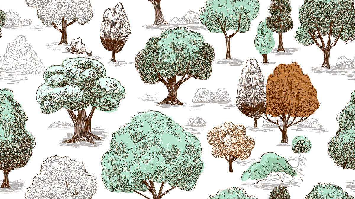 Whimsical Forest Sketch Mural Wallpaper | Hand-Drawn Trees & Landscape Pattern