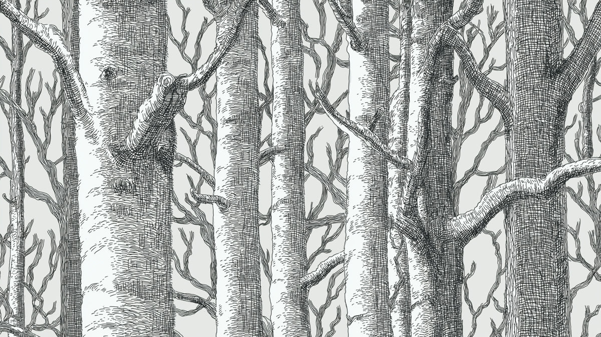 Bold Birch Forest Mural Wallpaper | Graphic Sketch Art