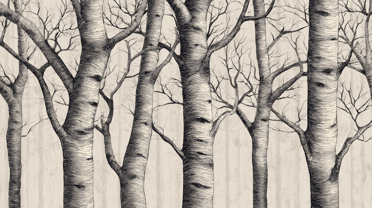 Minimalist Birch Mural Wallpaper | Modern Sketch Art