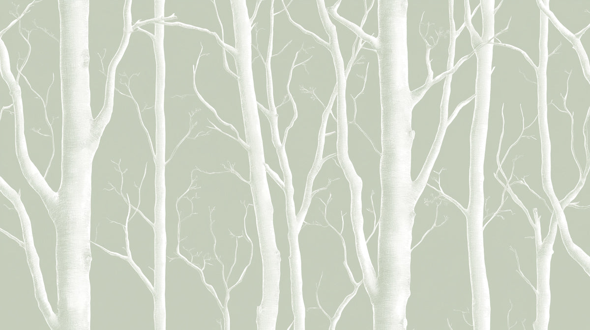 Misty White Birch Mural Wallpaper | Ethereal Forest Grove