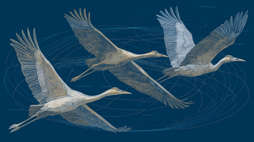 Engraved flying crane pattern with fine cream and ochre lines on a solid deep navy background