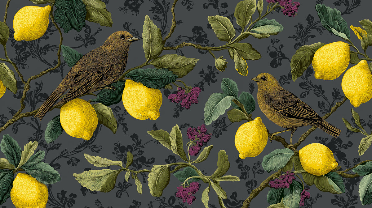 Vintage Lemon & Bird Mural Wallpaper | Dark Gray Botanical Art