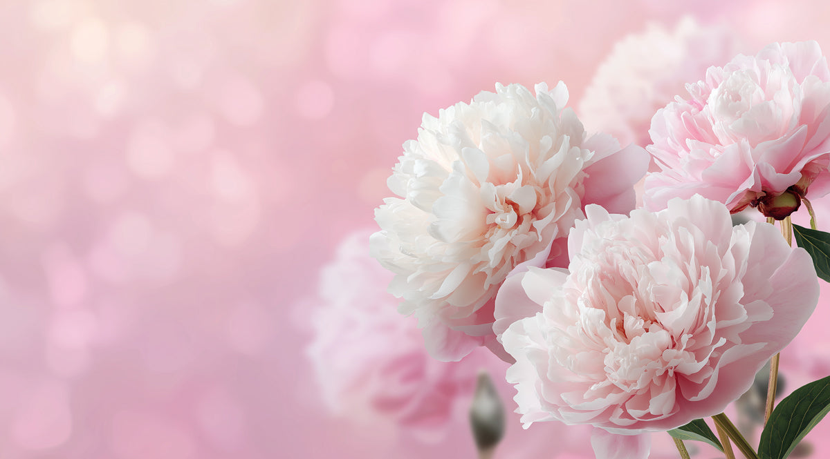 Romantic Pink Peony Floral Mural Wallpaper | Dreamy Abstract Background