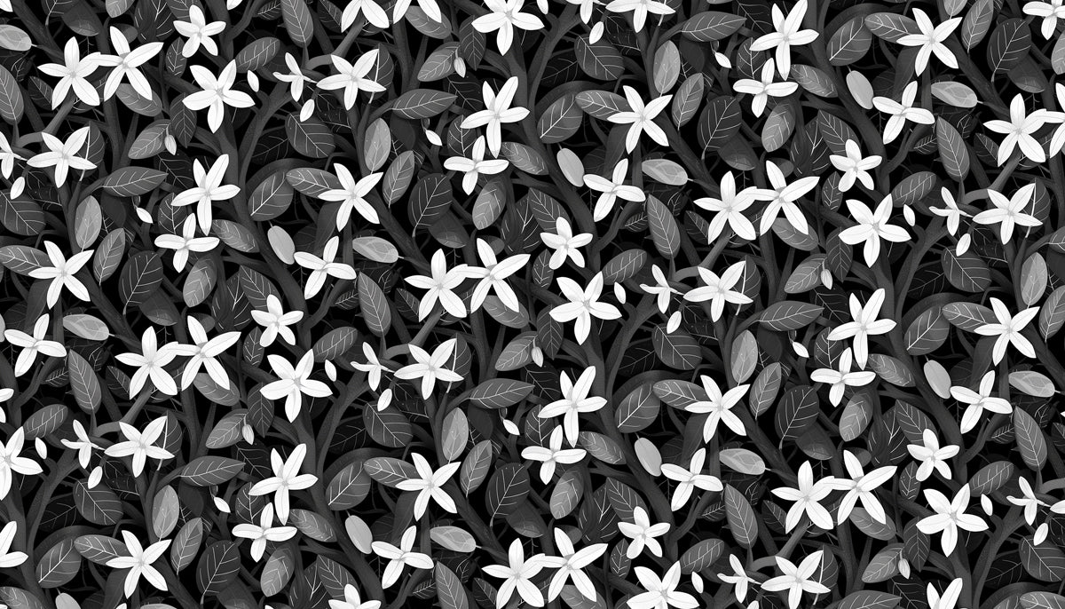 Monochrome Jasmine Pattern Wallpaper | Elegant Black & White Floral