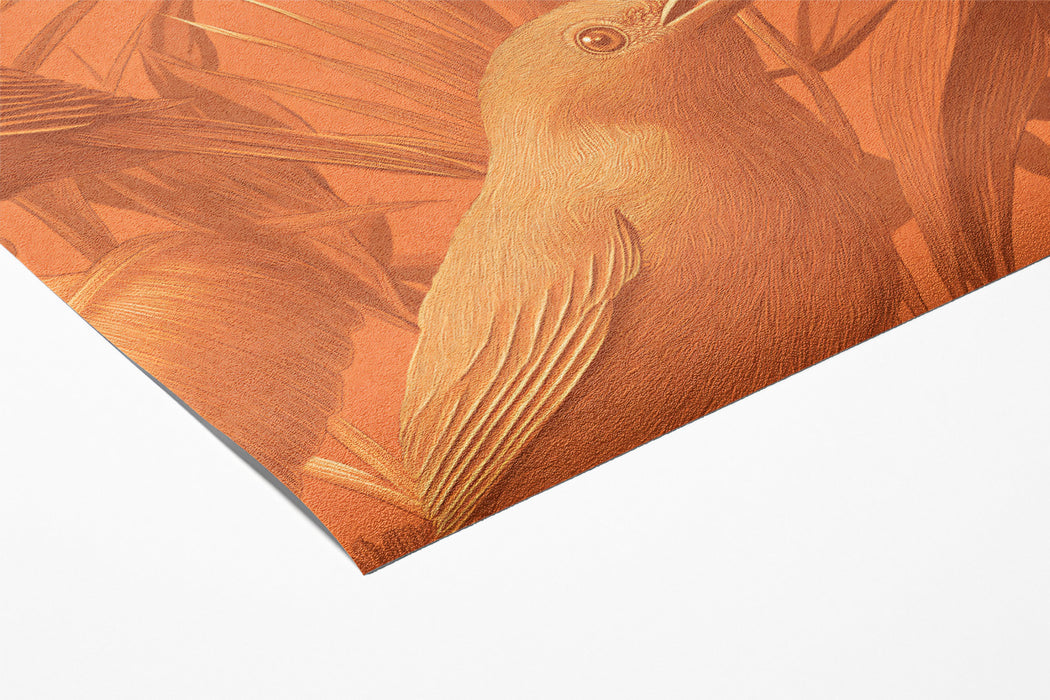 Warm Monochromatic Bird Mural Wallpaper | Rustic Tropical Print