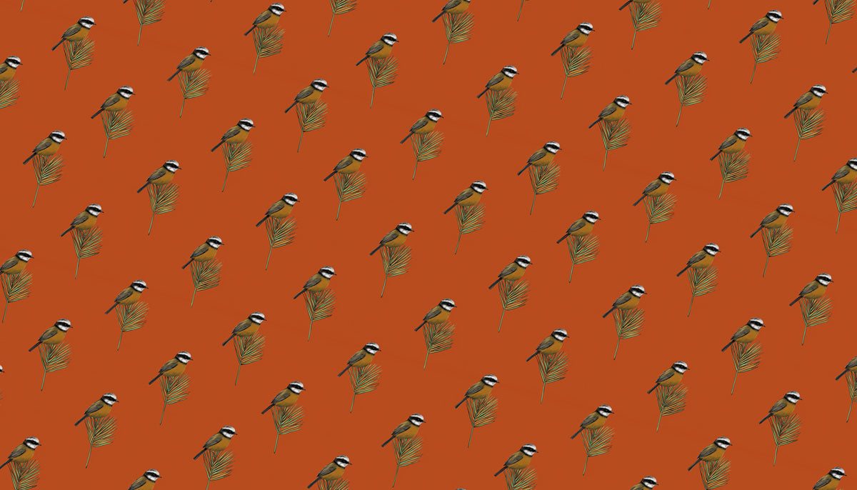 Classic Botanical Bird Mural Wallpaper | Small-Scale Orange Print
