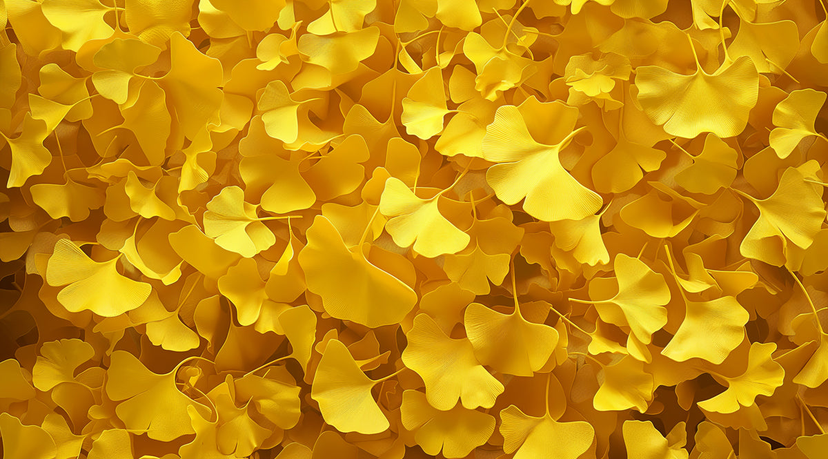 Golden Ginkgo Leaf Pattern Wallpaper | Vibrant & Textured