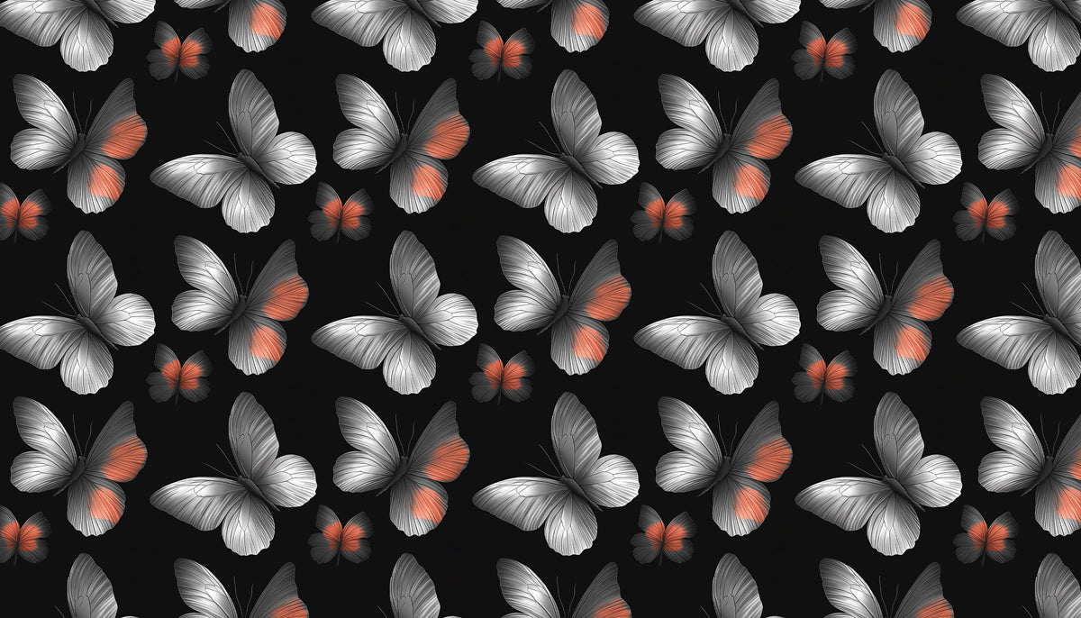 High-Contrast Butterfly Mural Wallpaper | Black & White