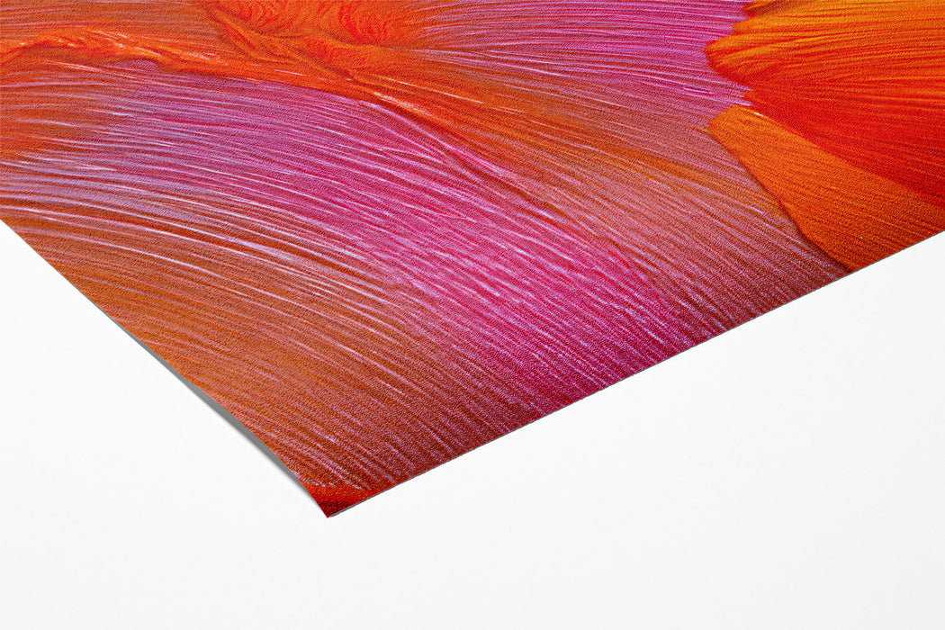 Abstract Brushstroke Mural Wallpaper | Fiery Orange and Red