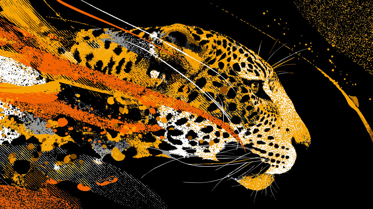 Abstract Jaguar Motion Mural Wallpaper | Black Background, Vibrant Orange Splatter, High-Contrast Expression